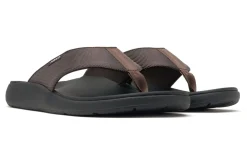 ABEO Medium|Active-Alpha