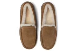 Women ABEO Standard|Slippers-Amble Slipper Metatarsal