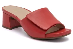 Women ABEO Standard|Education-Avenue Slide