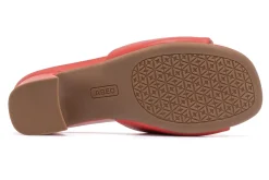 Women ABEO Standard|Education-Avenue Slide