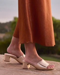 Women ABEO Standard|Education-Avenue Slide