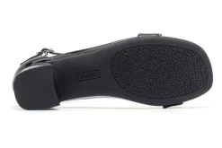 Women ABEO Standard|Education-Avenue Strap