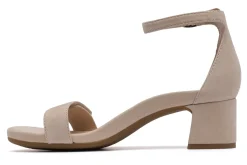 Women ABEO Standard|Education-Avenue Strap