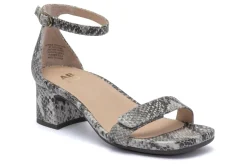 Women ABEO Standard|Education-Avenue Strap