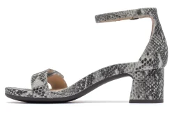 Women ABEO Standard|Education-Avenue Strap