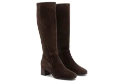 Women ABEO Education|Office-Avenue Tall