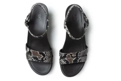 Women ABEO Education|Office-Faith Metatarsal