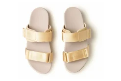 Women ABEO Standard|Active-Jewel