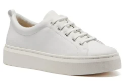 Women ABEO Standard|Education-Jumpstreet Bungee Metatarsal