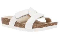 Women ABEO Standard|Education-Lanai Slide