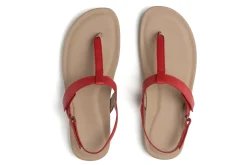 Women ABEO Standard|Education-Oasis T Strap Metatarsal