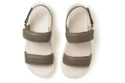 Women ABEO Standard|Education-Paseo Sandal