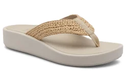 Women ABEO Standard|Education-Paseo Thong Sandal Metatarsal