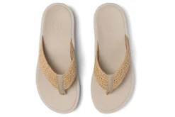 Women ABEO Standard|Education-Paseo Thong Sandal Metatarsal