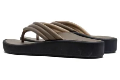Women ABEO Standard|Education-Paseo Thong Sandal Metatarsal