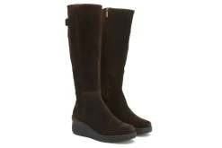 Women ABEO Standard|Education-Passage Tall Metatarsal