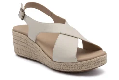 Women ABEO Standard|Education-Riviera Cross