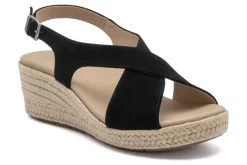 Women ABEO Standard|Education-Riviera Cross Metatarsal