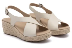 Women ABEO Standard|Education-Riviera Cross Metatarsal