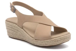 Women ABEO Standard|Education-Riviera Cross Metatarsal