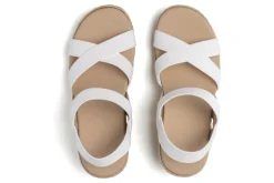 Women ABEO Standard|Education-Riviera Stretch