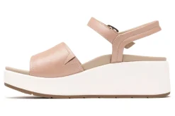Women ABEO Standard|Education-Solstice Buckle Sandal