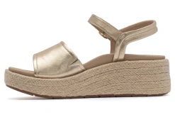 Women ABEO Standard|Education-Solstice Buckle Sandal