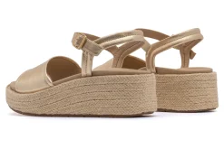 Women ABEO Standard|Education-Solstice Buckle Sandal Metatarsal
