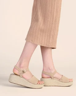 Women ABEO Standard|Education-Solstice Buckle Sandal Metatarsal