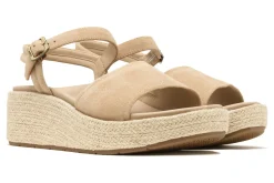 Women ABEO Standard|Education-Solstice Cross Slide Metatarsal