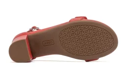 Women ABEO Standard|Education-Tempo Strap