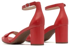 Women ABEO Standard|Education-Tempo Strap