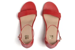 Women ABEO Standard|Education-Tempo Strap Metatarsal