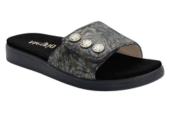 Women Alegria Standard|Sandals-Lilie