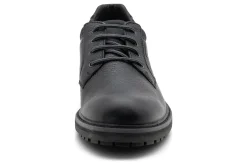 ara Medium|Casual Shoes-Farren