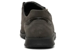 ara Medium|Active-Lowell