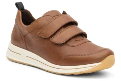 Women ara Standard|Active-Oakland