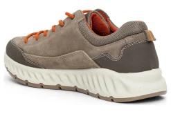 ara Medium|Active-Prague