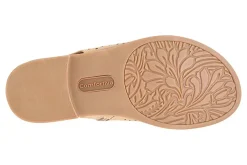 Women Comfortiva Standard|Education-Delsie