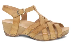 Women Dansko Standard|Education-Tinley