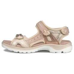 Women Ecco Standard|Active-Offroad Sandal