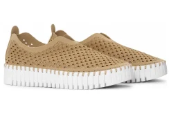 Women Ilse Jacobsen Standard|Casual Shoes-Tulip3373