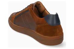 Mephisto Medium-Harrison