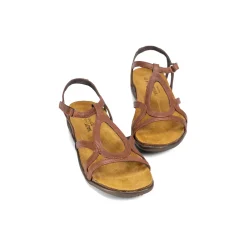Women Naot Standard|Sandals-Dorith