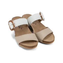 Women Naot Standard|Office-Kingdom