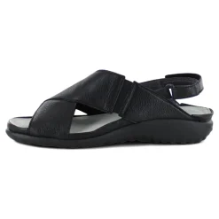 Women Naot Standard|Sandals-Niho