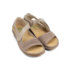 Women Naot Standard|Education-Papaki