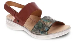 Women Revere Standard|Wide-Como