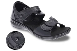 Women Revere Standard|Wide-Geneva