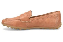 Women Sofft Standard|Education-Allie